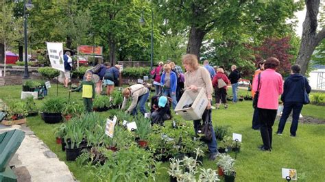 Perennial plant sale coming to Lake George